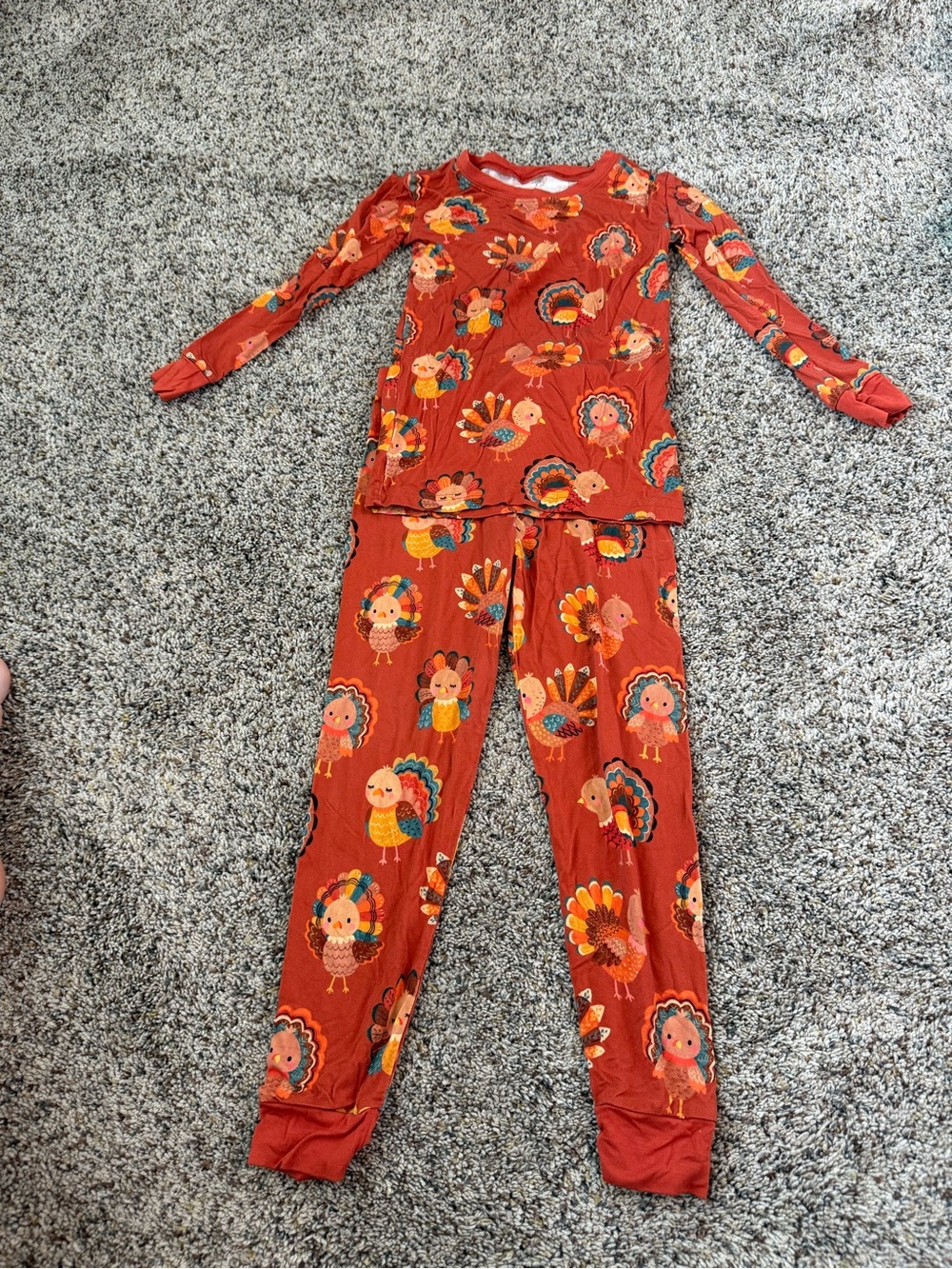 Little Sleepies Bamboo Thanksgiving Toddler Pajama Set - Size 4T NEW